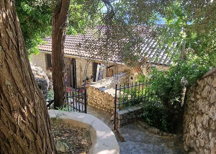 Eftihia Κατούνα